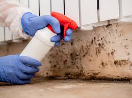 Forensic Mold Investigation in Dorneyville, PA